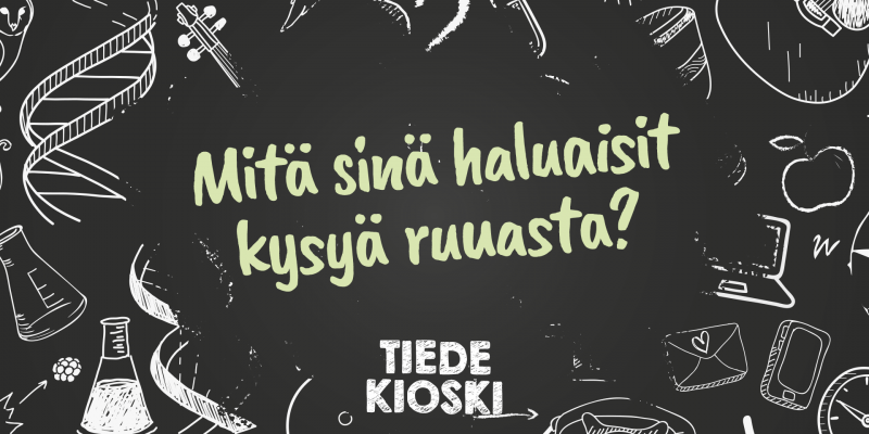 Mitä sinä haluaisit kysyä ruuasta?