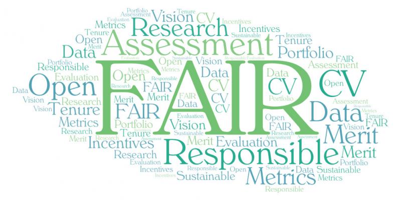 Word cloud with the keywords of the project.