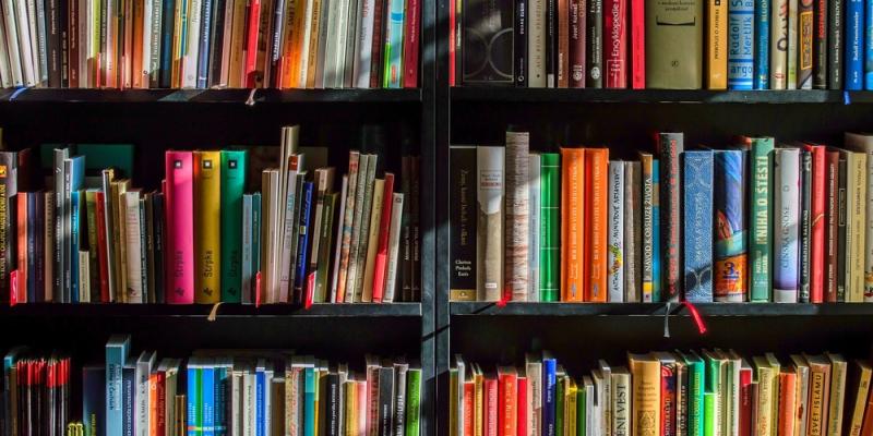 Image of a bookshelf.