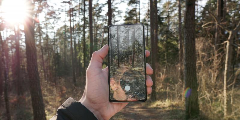 A hand holding a mobile phone with a photo of a surrounding forest.