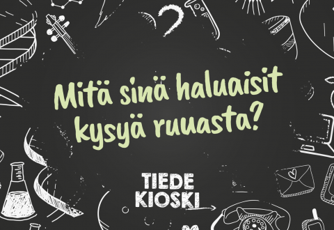 Mitä sinä haluaisit kysyä ruuasta?