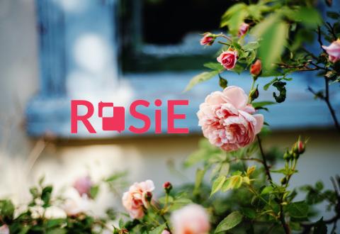 ROSiE-logo with a rose on the background.